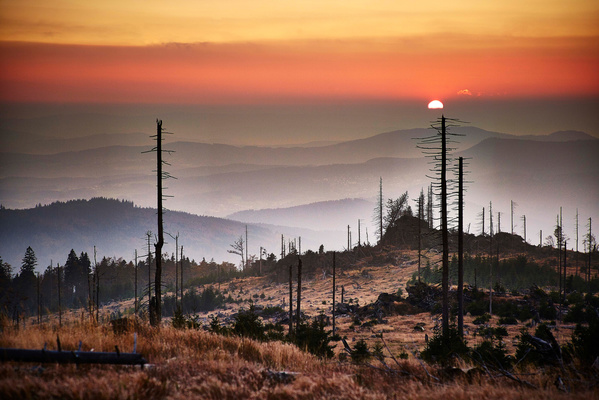 Ferienregion Nationalpark Bayerischer Wald: Ein aktueller Diskurs und unsere Sichtweise auf 10 Jahre Neustrukturierung