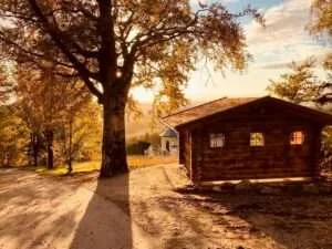 Erfolgsgeschichten | 1